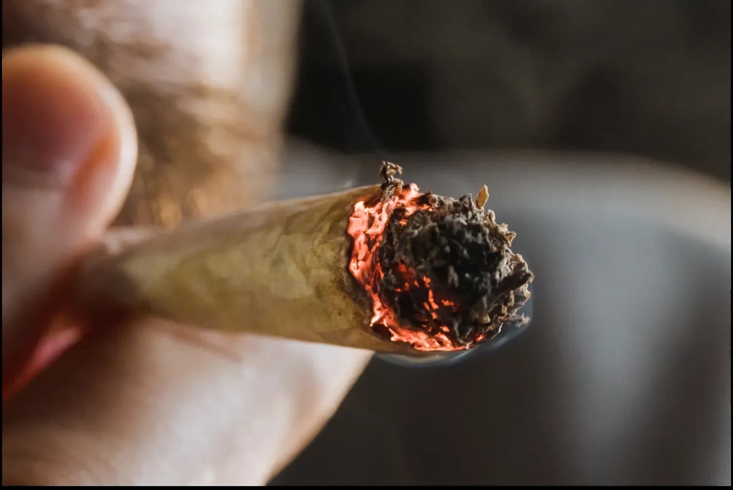 Cover image for Can You Overdose on Weed? How Much Is Too Much?